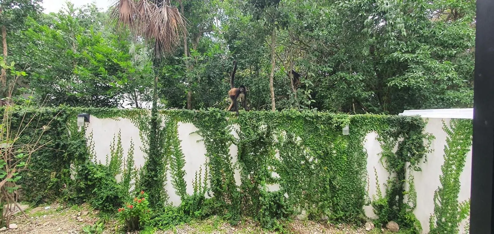 Willa Casa Luz Puerto Morelos Dom wakacyjny
